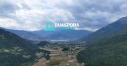 NA PRODAJU, ZEMLJIŠTE, 50000M2, PLAV