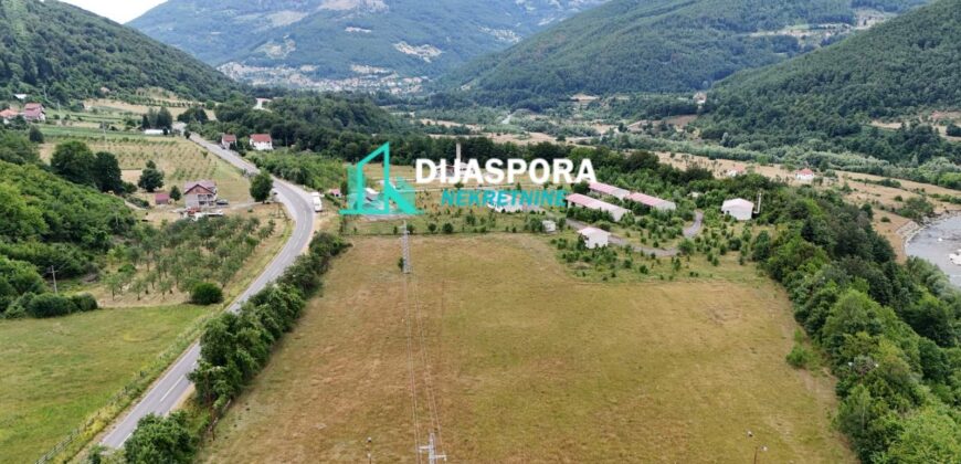 NA PRODAJU, ZEMLJIŠTE, 50000M2, PLAV